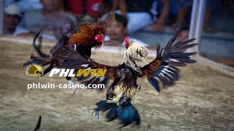 go perya.net login|Online na Gabay sa Sabong .